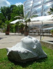 Hespera im Botanischen Garten Graz